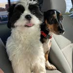 Donna Reid Lambert - @dlambgirl2005 - Instagram