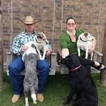 Jennifer Reid Lambert - @jenniferreidlambert - Instagram