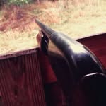 Reidlambert - @reidl_55 - Instagram