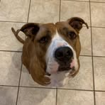 Reid Lowe - Facebook