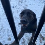 Reid Mackenzie - @_reidmack_ - Instagram