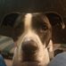 Reid McDaniel - Facebook