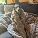 Red Morrow - Facebook