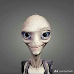 Orr Reid - @orr_reid_67 - Instagram