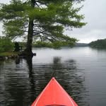 Joyce Reid Pearson - @joycerpearson - Instagram