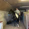 Ryan Reid - @ryanreid15 - TikTok