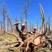 Reid Wall - Facebook