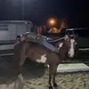 reid walli$ - @reid.wallis - TikTok