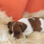 Wally Reid - @wally.reid - Instagram