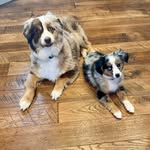 Reid & Haddie Webb - @reidandhaddie - Instagram