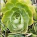 Rod Weinand - Facebook