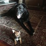 Reilly&Hogan - @reillyandhogan - Instagram
