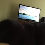 Reilly Hook - @reillyhook - Instagram