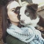 Reilly Shook - @reillyshook - Instagram