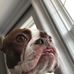 Reilly Walsh - Facebook