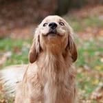 Reilly Williams - @randomkidforlife - Instagram