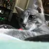 Reina - @reina_munoz - TikTok