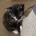 Jeannette Reina Olson - @jettolson73 - Instagram