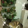 reinastein0 - @reinastein0 - TikTok