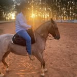 Reinaldo Araújo - @reinaldo.a.r.araujo - Instagram