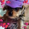 Reinaldo Arce858 - @reinaldo_arce - TikTok
