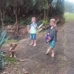 Reinaldo Avila da Silva - @reinaldoavilada - Instagram