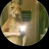 Reinaldo cabrera - @reinaldo.cabrera09 - TikTok