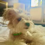 Reinaldo Aspuru Casas - @luc12345678910111213 - Instagram