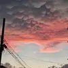 reinaldo - @reinaldodelvalle1 - TikTok
