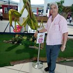 Reinaldo Guzmán - @reinaldo.guzman.965 - Instagram
