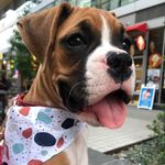 Reinaldo Leon - @holasoyleon - Instagram