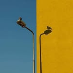 Reinaldo Marques - @reinaldo.marques - Instagram