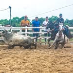 Reinaldo Marques De Lima Medeiros - @rei8225 - Instagram