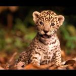 Reinaldo montaño aneiva - @reinaldomontanoaneiva - Instagram