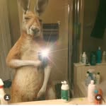Reinaldo Andres Reyes Orellana - @reinaldo7777 - Instagram