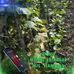 Reinaldo Orellana Lopez - Facebook
