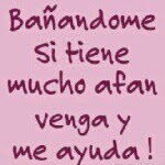 reinaldo paez - @reinaldopaez - Instagram