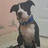 Reinaldo Ramirez Gil - @reinaldoramirezgi - TikTok