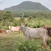 reinaldo rivera - @user5062108325475 - TikTok