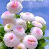 Rekha Basu - @user60193127 - TikTok