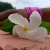 Rekha☺ - @rekharani7651 - TikTok