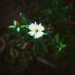 Rekha Thomas - @rekhathomas2 - Instagram