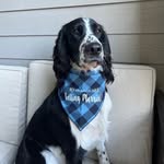 Remi Roo Allen - @remirooallen - Instagram