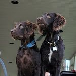 Remi Roux and Fisher Anderson - @smithlake_boykin - Instagram