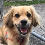 Remi Austin - @remi_the_esa - Instagram