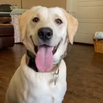 Remi Brown - @remi_brown_ - Instagram