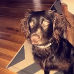 Remi Davis - @remidavis143 - Instagram