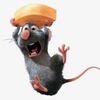 remi_edwards - @remi_edwards - TikTok