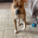 Remi Foster - @remifoster - Instagram