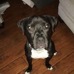 Remi Graves - @remigraves - Instagram